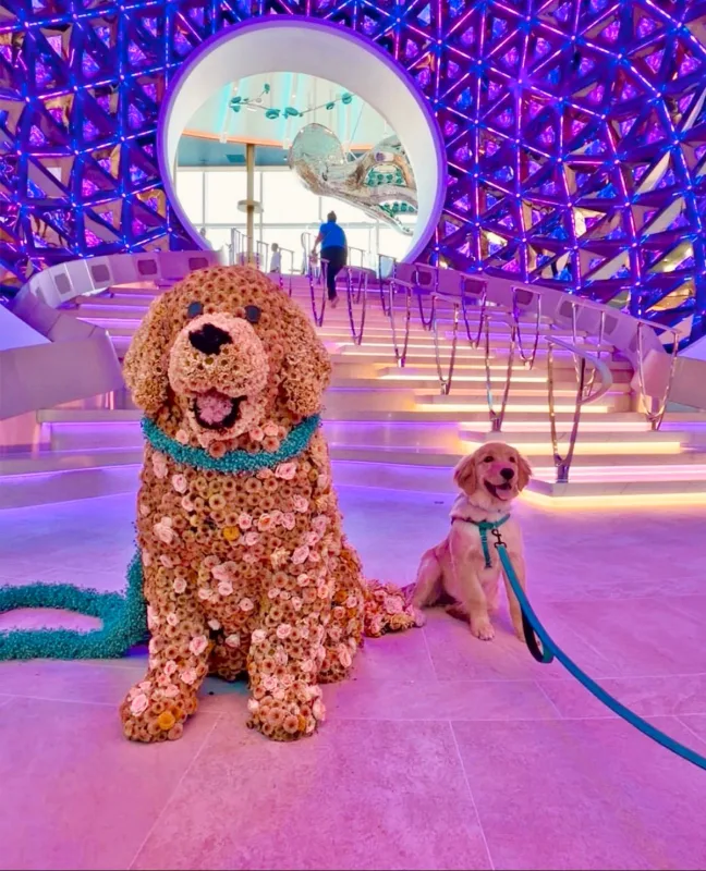 🌺🌼🌸Hemos hecho este perro gigante para uno de los cruceros más grandes del mundo.