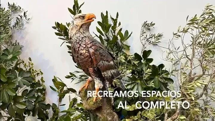 En Elige3d estamos especializados en hacer proyectos a todas las escalas, cuéntanos tu idea y nosotros la ha…