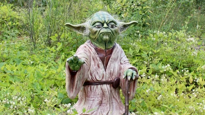 Dispuestos a recorrer otras galaxias junto a nuestro maestro Yoda, que la fuerza os acompañe💪🏻😜 Como no…