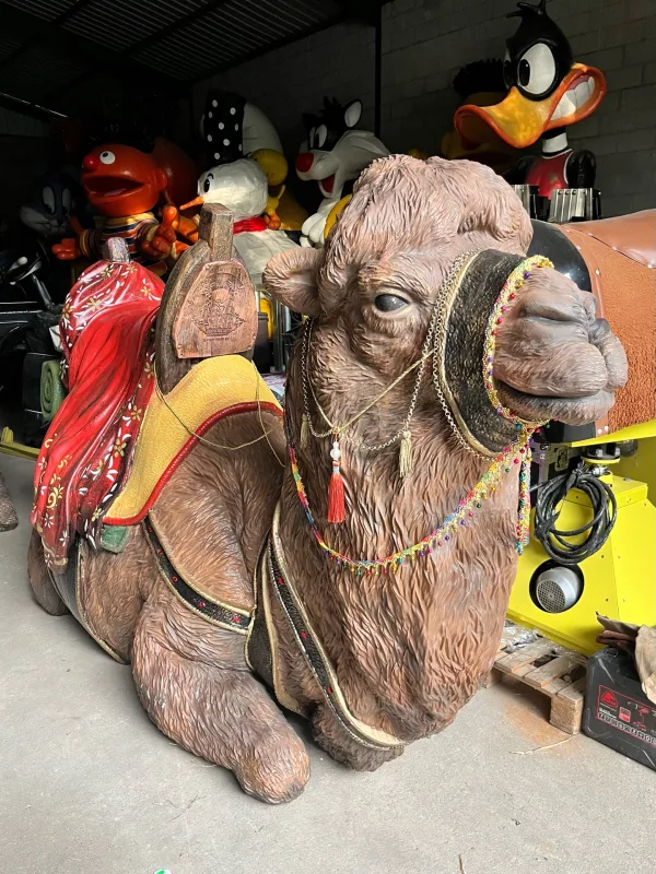 Aunque estemos en verano… marchando un trío de camellos para la fiesta del Día de la Infancia.
